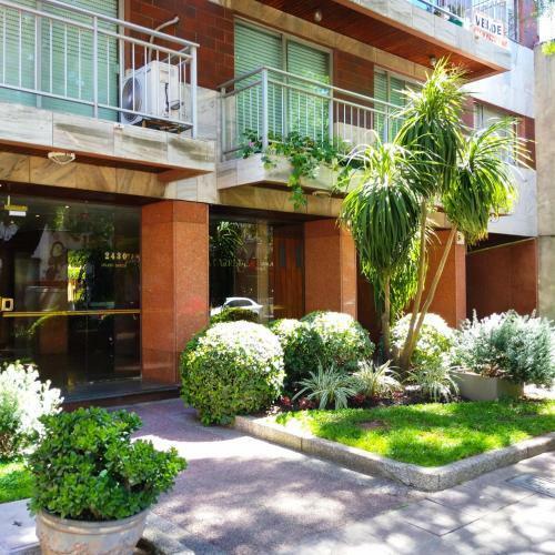 Apartamento Penthouse Punta Carretas