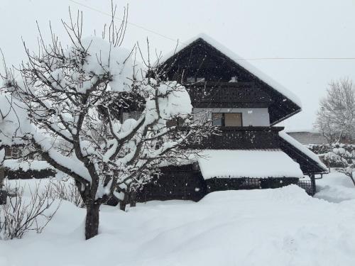 Apartamento Sne?ak (snowman)