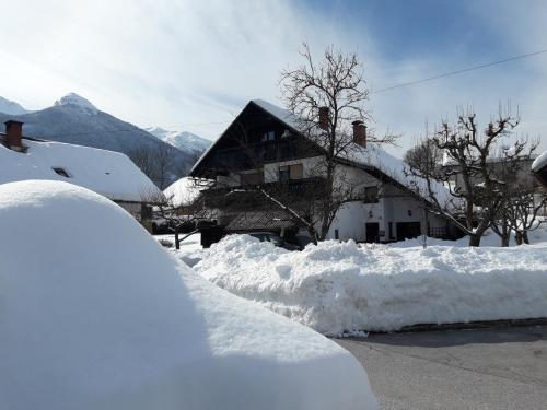 Apartamento Sne?ak (snowman)
