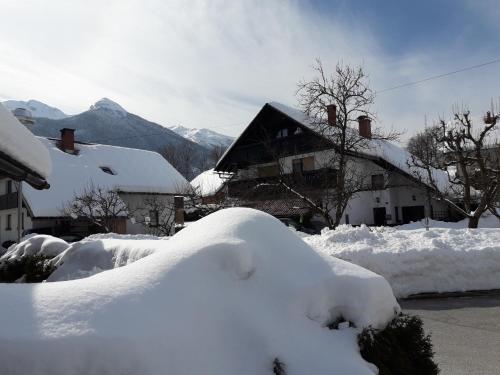 Apartamento Sne?ak (snowman)
