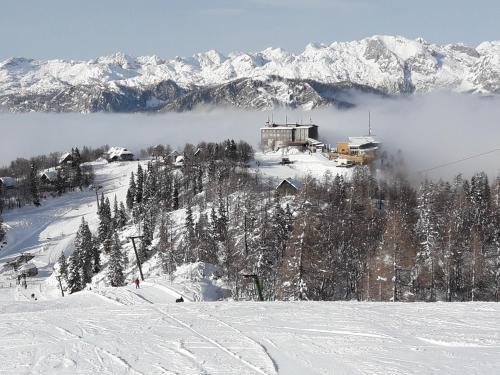 Apartamento Sne?ak (snowman)