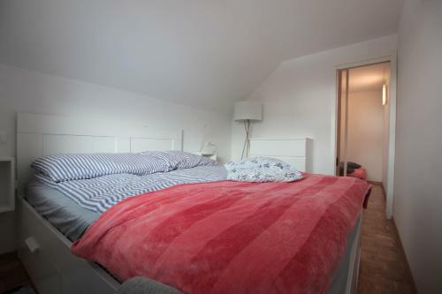Apartment Kosmac