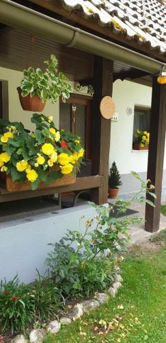 Apartment Sonce
