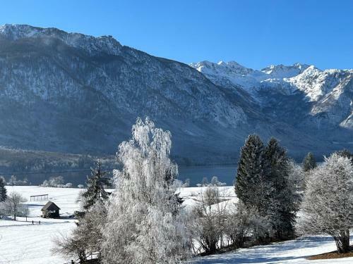Gloria Holiday - Apartment Bohinj