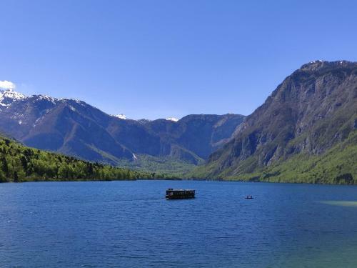 Apartments Bohinjc