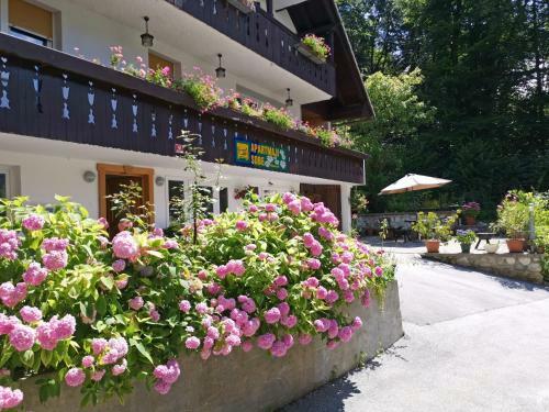 Accommodation Destina, Lake Bohinj