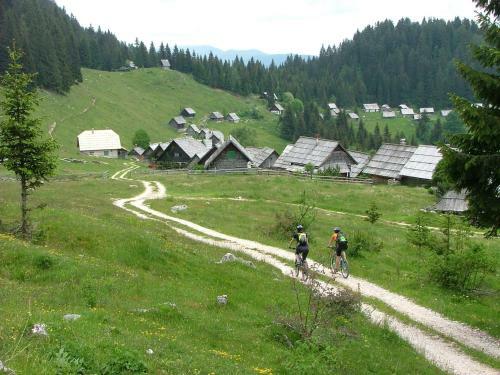 Apartma Vojvoda