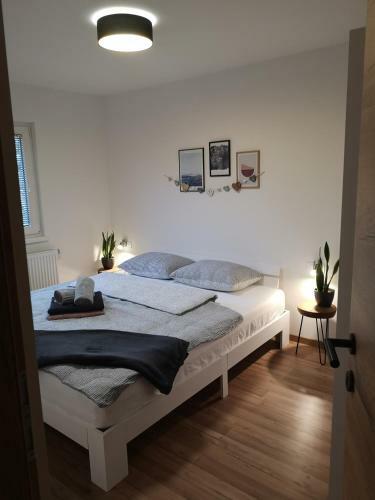 Alpine Joy Apartments