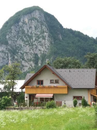 Apartma Bremec-studio