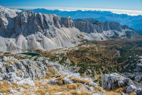 Apartmaji ?trud�l Bohinj