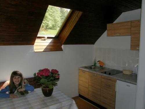 Apartamento Booa Rooms Irena