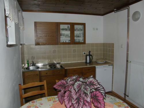 Apartamento Booa Rooms Irena