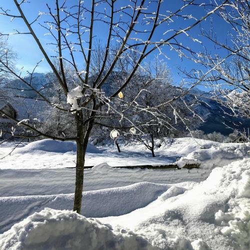 Apartamento Residence Aurora, Bohinj
