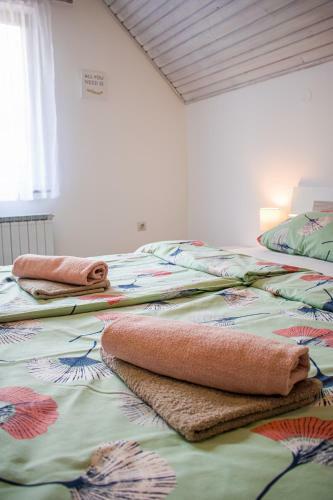 Apartma Petra Ravnik - Wanderer's Hut