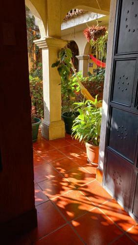 Casa Quetzalli