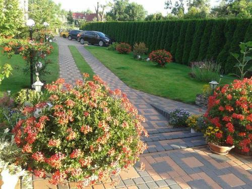 Apartamento Chata Alba Regia