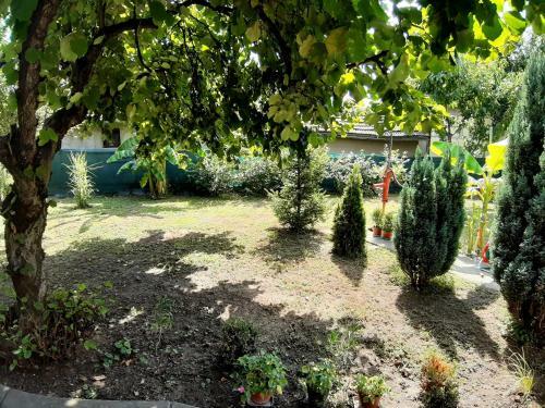 Apartamento Casa Verde