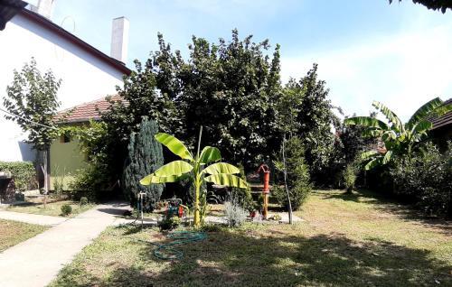 Apartamento Casa Verde