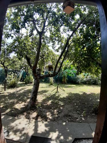 Apartamento Casa Verde