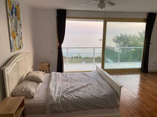 Seafront Villa With Private Swimming Pool Istanbul