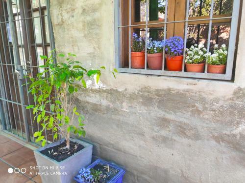 Apartamento En Salto