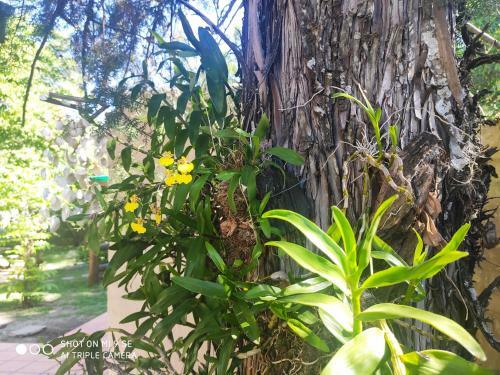 Apartamento En Salto