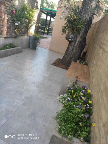 Apartamento En Salto