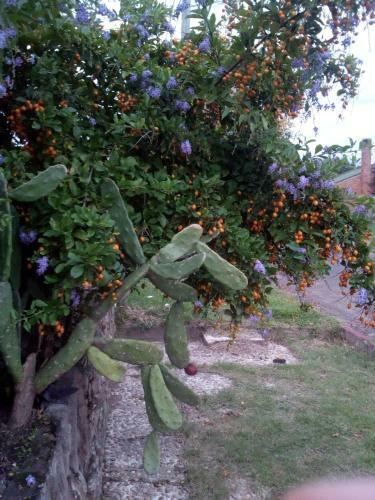 Apartamento Jardines De Don Bosco