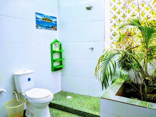 Apartamento Casa Veranito