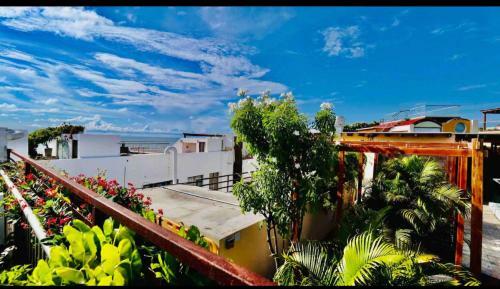 Apartamento Virrey Eslava