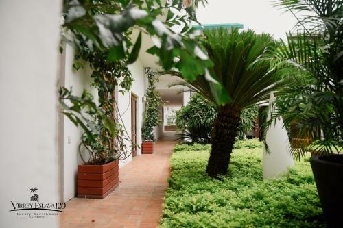 Apartamento Virrey Eslava 120 Luxury Guesthouse
