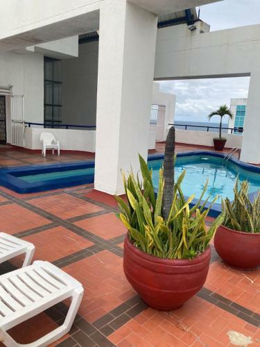 Apartamento Cartagena Alquila