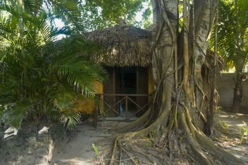 Isla Remanso: Paradise On Earth.