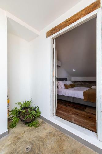 Fun House Pool & Rooftop Best Location Getsemani!
