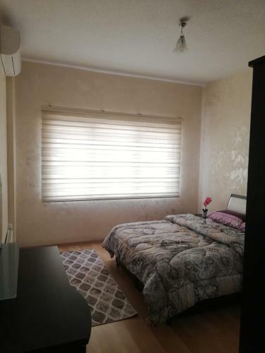 Apartamento ??? ?? ??? ?????