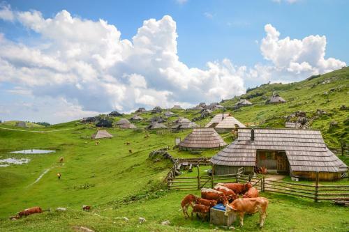 Lodge Ko?a Predilnica Velika Planina