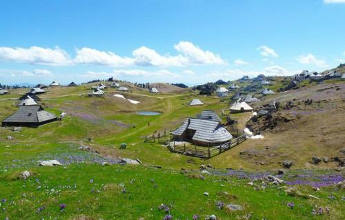Lodge Ko?a Predilnica Velika Planina