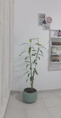 Apartamento Deprtamento Donovan II