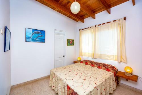 La Balsita Beachfront Organos