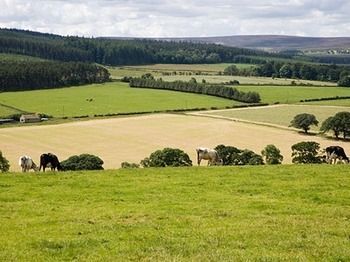 Bed & Breakfast Rye Hill Farm
