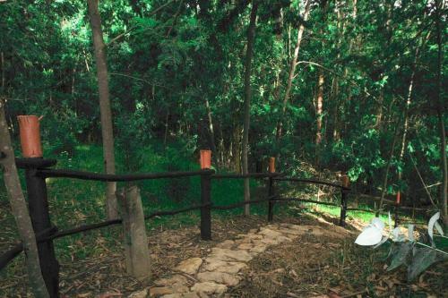 Paradise Glamping