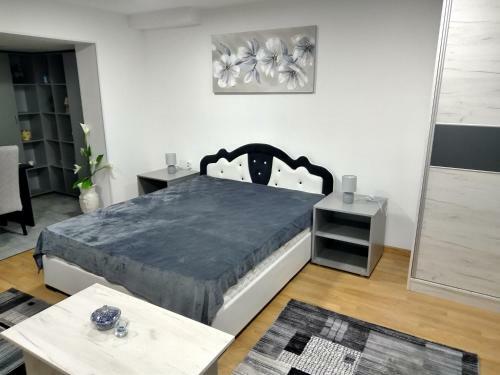 Nice Story Apartment Studio