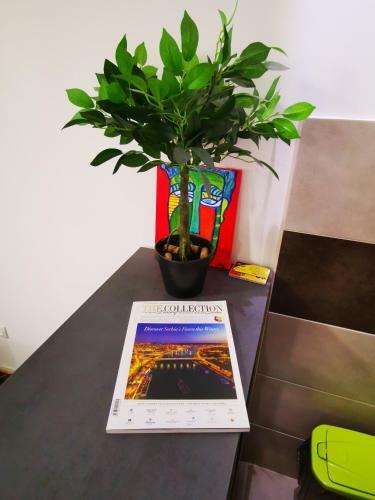 Merkur Luxury Apartman
