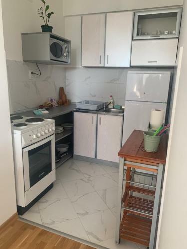 Apartman Aleksic