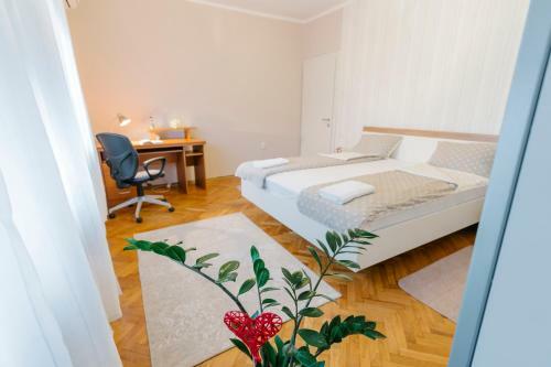 Apartamento Ni? Downtown Residence