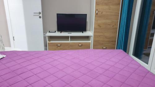 Apartment Stan Na Dan Nis 2