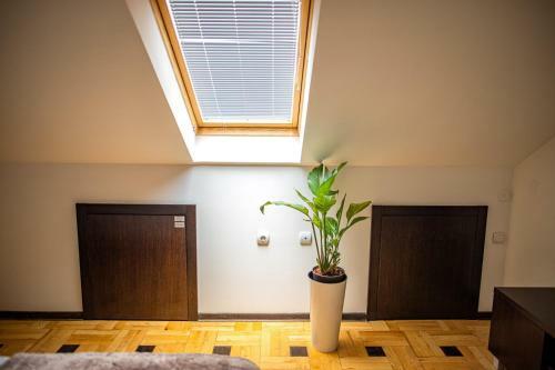 Pleasure ?air Apartments