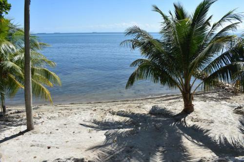 Apartamento Sunset Gecko Condo - 1b
