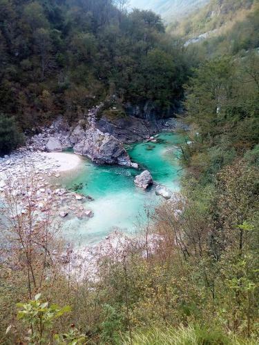 Sleeping With The Bees Kozjak