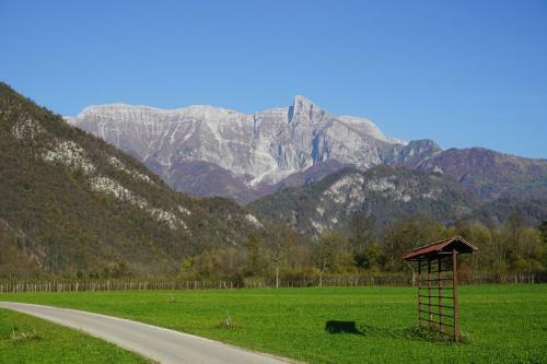 Ecohouse Furlan - Apartment Pinja